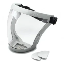 Face shield