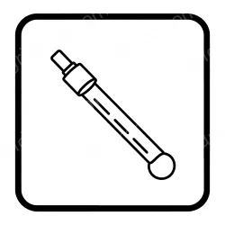 PH detection electrode