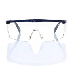 goggles